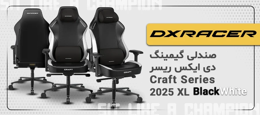 صندلی گیمینگ دی ایکس ریسر Craft Series 2025 XL Black White