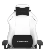 صندلی گیمینگ دی ایکس ریسر Drifting Series 2025 L White