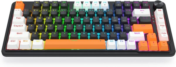 کیبورد مکانیکال گیمینگ ردراگون Landshaker K714WBO RGB - Image 5