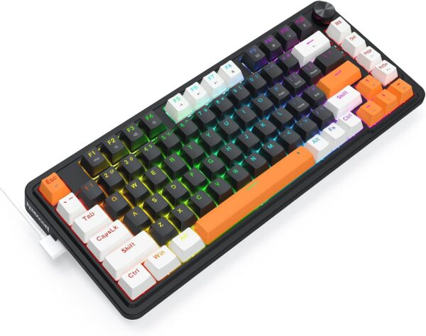 کیبورد مکانیکال گیمینگ ردراگون Landshaker K714WBO RGB - Image 6
