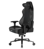 صندلی گیمینگ دی ایکس ریسر Craft Series 2025 XL Black - Image 3