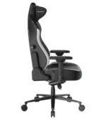 صندلی گیمینگ دی ایکس ریسر Craft Series 2025 XL Black White - Image 7