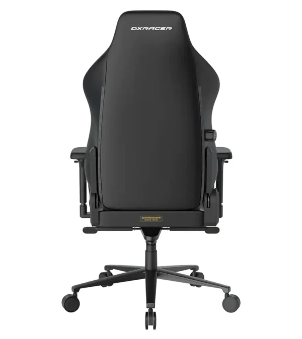 صندلی گیمینگ دی ایکس ریسر Craft Series 2025 XL Black White - Image 6