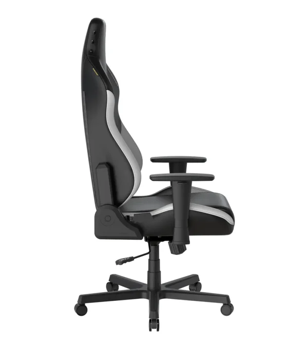 صندلی گیمینگ دی ایکس ریسر Drifting Series 2025 L Black White - Image 3