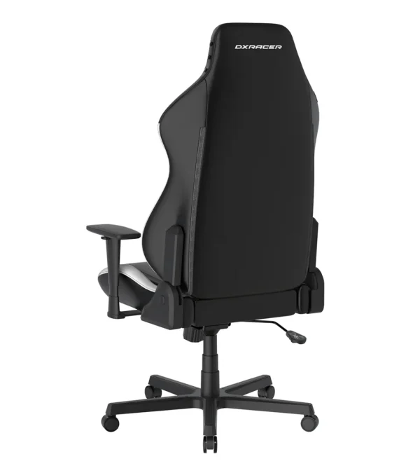صندلی گیمینگ دی ایکس ریسر Drifting Series 2025 L Black White - Image 6