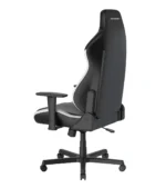 صندلی گیمینگ دی ایکس ریسر Drifting Series 2025 L Black White - Image 7