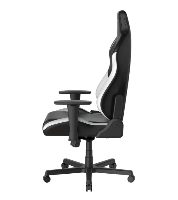 صندلی گیمینگ دی ایکس ریسر Drifting Series 2025 L Black White - Image 8