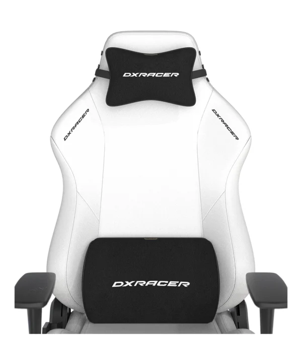 صندلی گیمینگ دی ایکس ریسر Drifting Series 2025 L White - Image 11