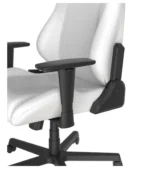 صندلی گیمینگ دی ایکس ریسر Drifting Series 2025 L White - Image 12