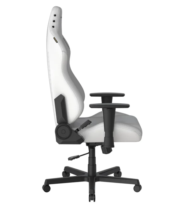 صندلی گیمینگ دی ایکس ریسر Drifting Series 2025 L White - Image 3