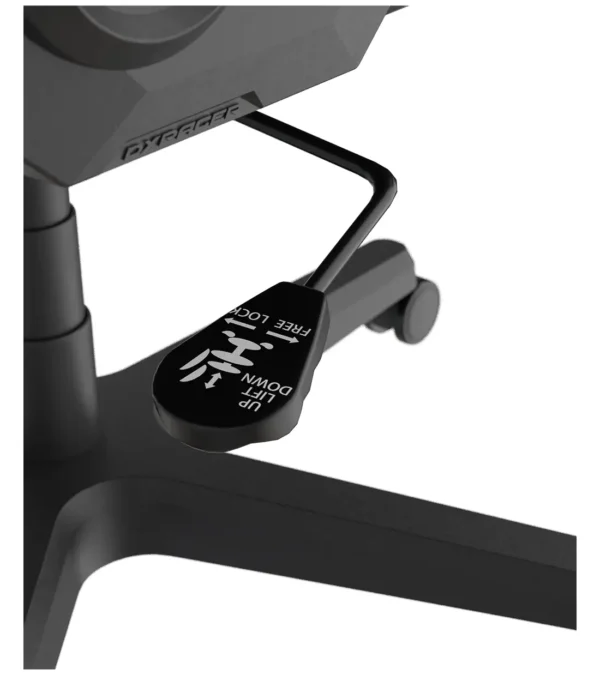 صندلی گیمینگ دی ایکس ریسر Formula Series 2025 L Black - Image 12