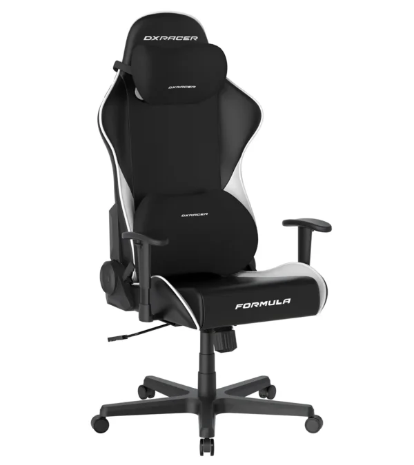 صندلی گیمینگ دی ایکس ریسر Formula Series 2025 L Black White - Image 7