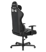صندلی گیمینگ دی ایکس ریسر Formula Series 2025 L Black White - Image 9