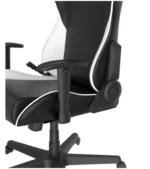 صندلی گیمینگ دی ایکس ریسر Formula Series 2025 L Black White - Image 5