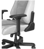 صندلی گیمینگ دی ایکس ریسر Master Series 2025 XL White - Image 6