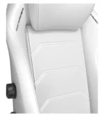 صندلی گیمینگ دی ایکس ریسر Master Series 2025 XL White - Image 4