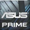 0035816_asus-prime-gel-badges_550